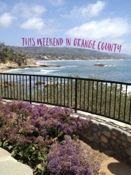 Fun Things To Do In Orange County This Weekend 1 14 1 15 Things To Fun Things To Do In Orange County This Weekend 1 14 1 15 Things To