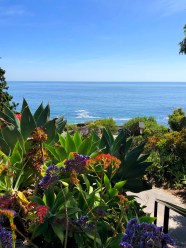8 Fun Things To Do This Weekend In Orange County May 11 13 Things To 8 Fun Things To Do This Weekend In Orange County May 11 13 Things To