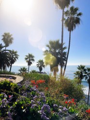 Fun Things To Do In Orange County This Weekend Feb 10 11 2018