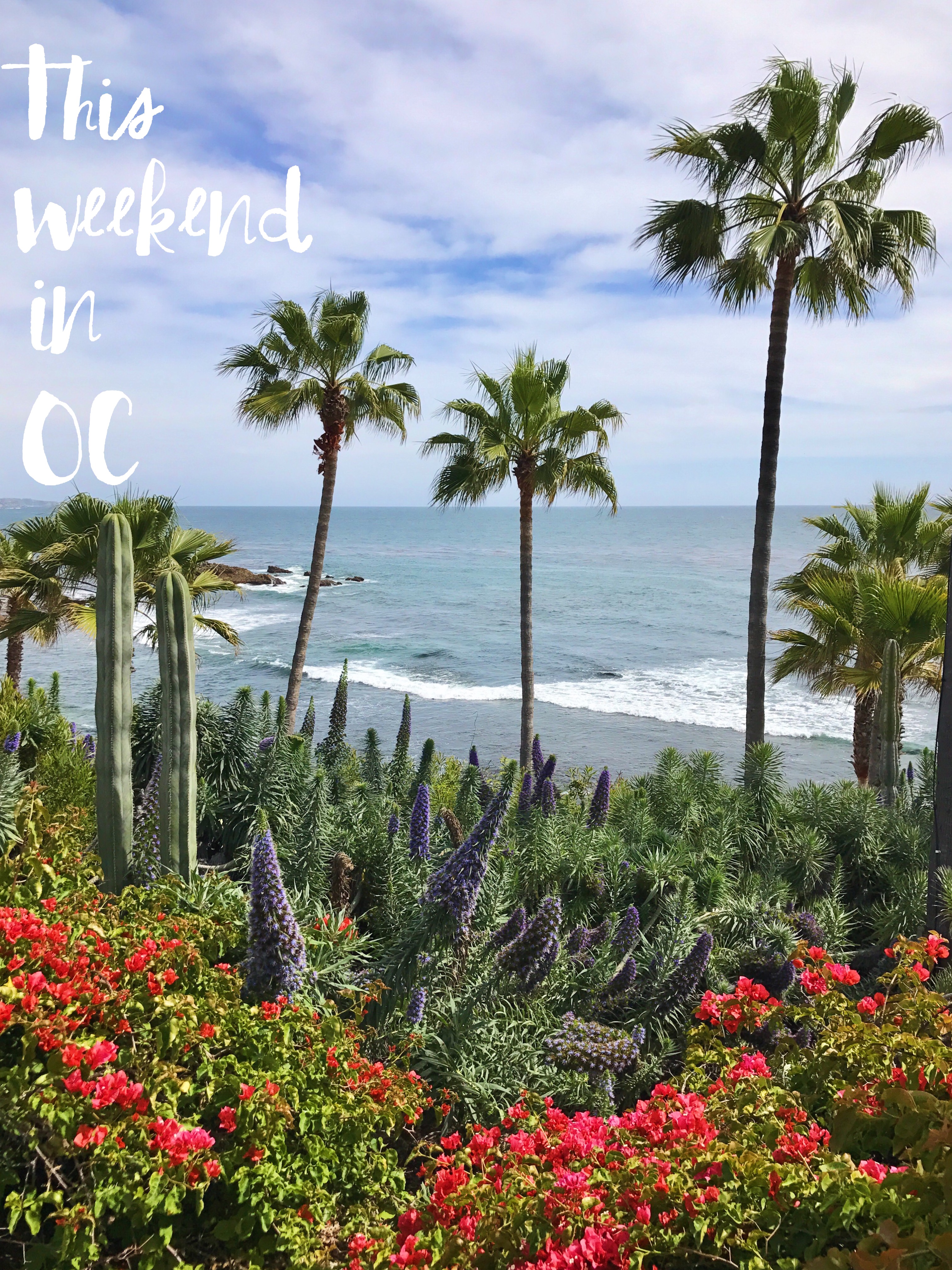 Lots Of Fun Things To Do This Weekend In Orange County 55 57