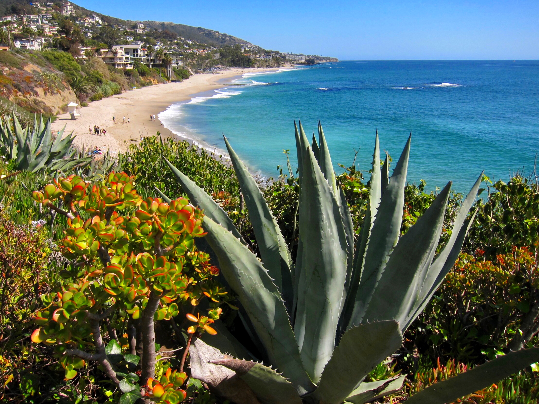 8 Great Things To Do this Weekend in Orange County Things to do in