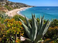 8 Great Things To Do This Weekend In Orange County Things To Do In 8 Great Things To Do This Weekend In Orange County Things To Do In