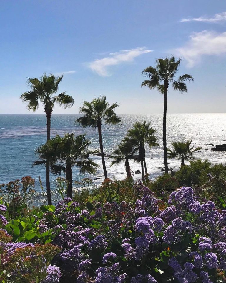 Things to do in Orange County OC Events